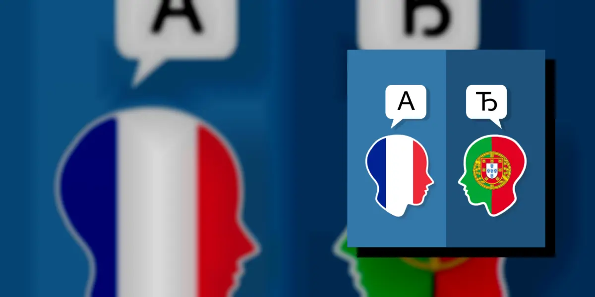 Francês Português Tradutor